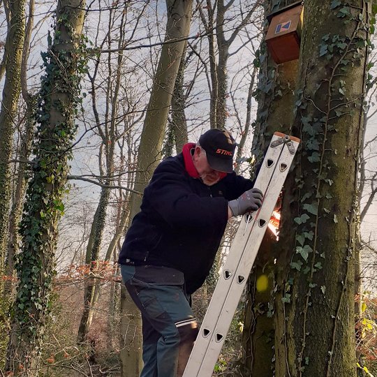 Ehrenamtliche Helfer der Kolpingsfamilie Hollage setzen die Nistkästen im Hollager Berg instand.