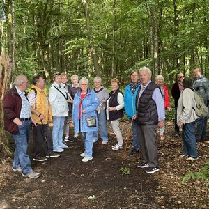 Wanderung der Kolping-Gruppe 60plus durch das Waldgebiet Hollager Berg.