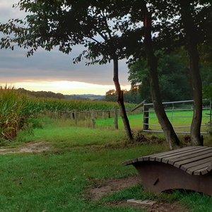 Waldsofa am Hollager Berg in Brockhausen.