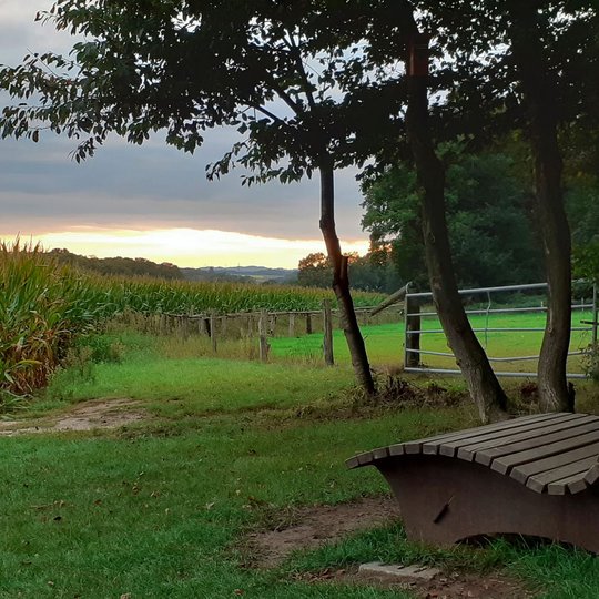 Waldsofa am Hollager Berg in Brockhausen.