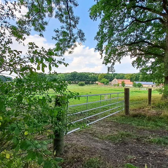 Blick auf die gegenüberliegende Pferdekoppel.